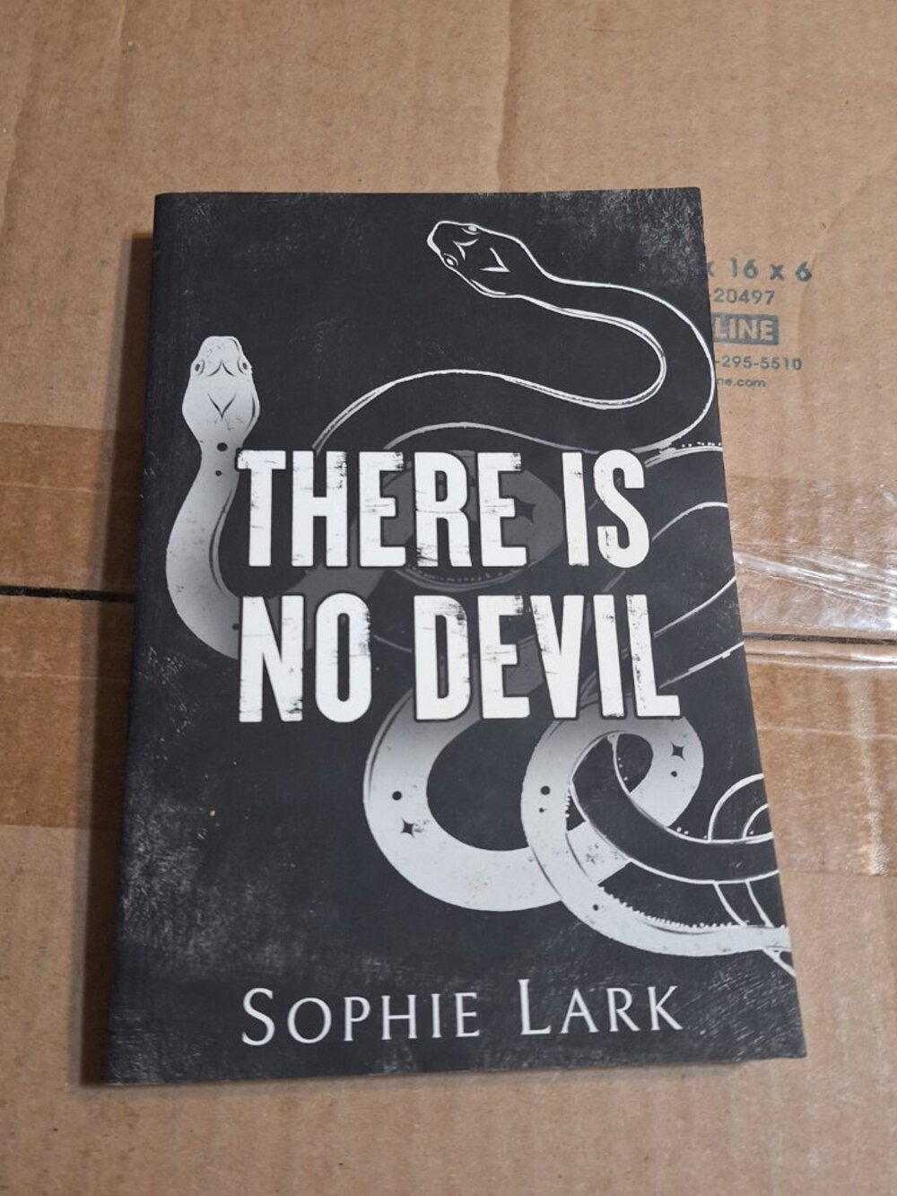 there is no devil